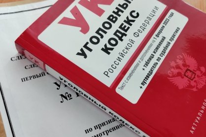 В городе Рубцовске возбуждено уголовное дело по факту мошенничества при приватизации муниципального имущества